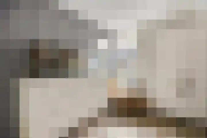 Hindelaan 69 Lunteren thumbnail 35