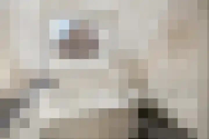 Hindelaan 69 Lunteren thumbnail 36