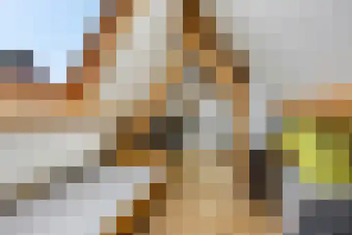 Hindelaan 69 Lunteren thumbnail 40
