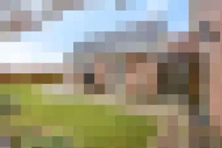 Hindelaan 69 Lunteren thumbnail 45