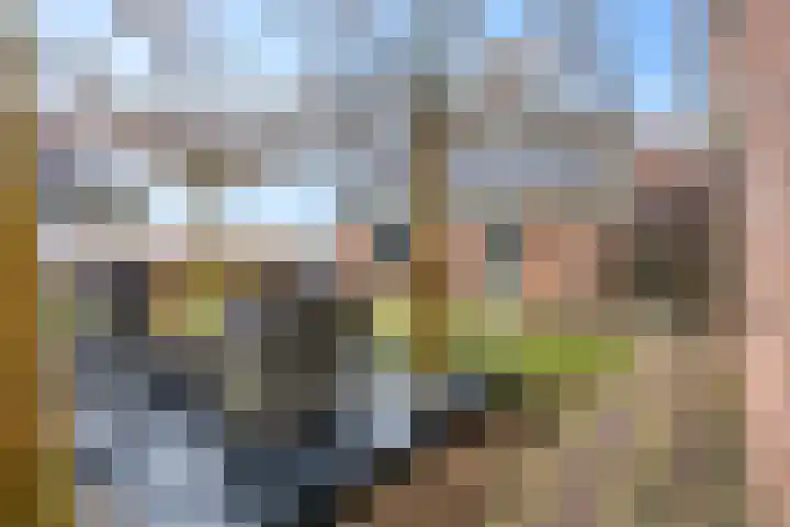 Hindelaan 69 Lunteren thumbnail 46