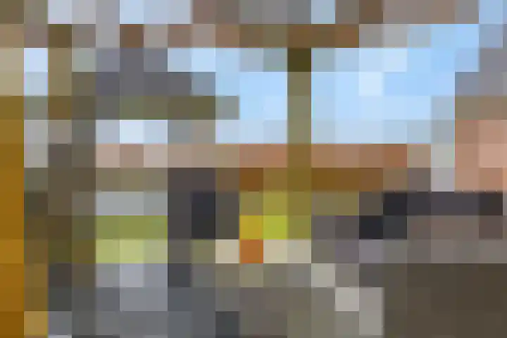 Hindelaan 69 Lunteren thumbnail 47