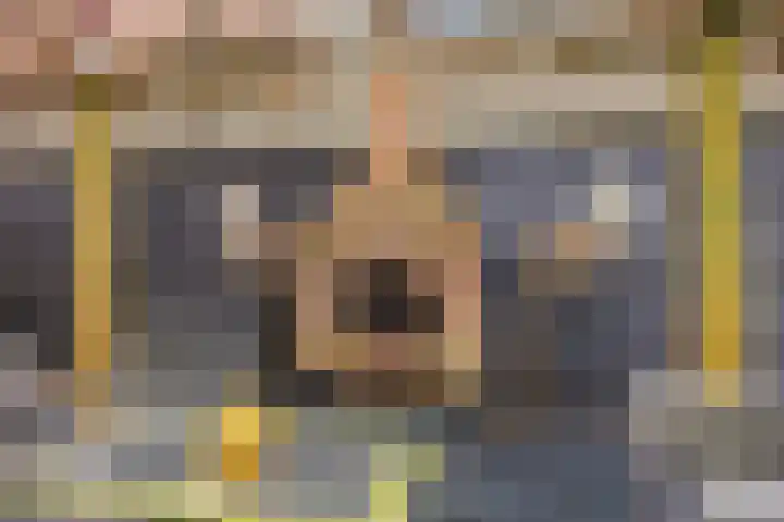 Hindelaan 69 Lunteren thumbnail 48