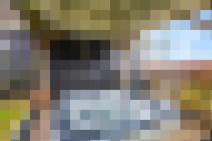 Hindelaan 69 Lunteren thumbnail 49