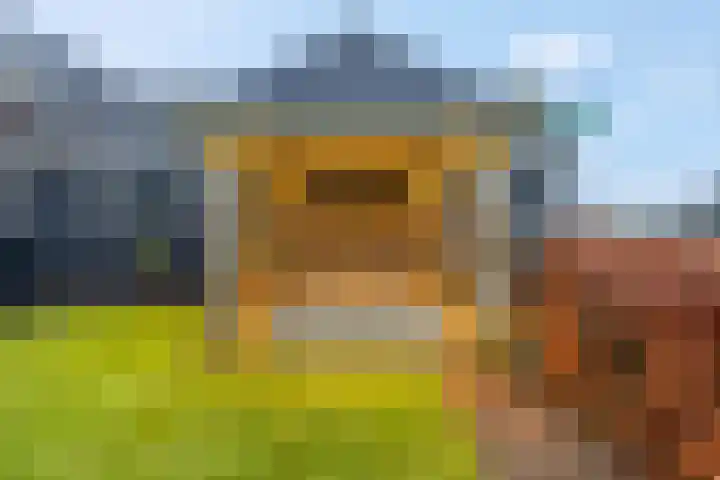 Hindelaan 69 Lunteren thumbnail 50