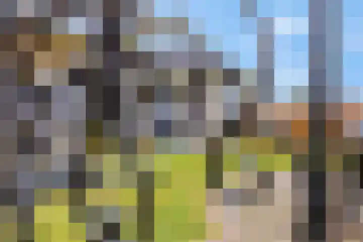 Hindelaan 69 Lunteren thumbnail 55