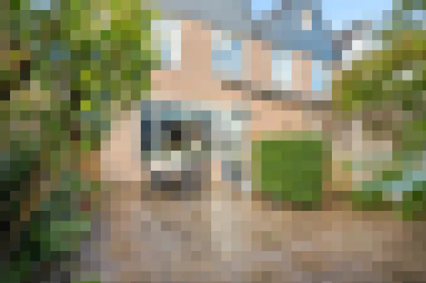 Hindelaan 97 Lunteren thumbnail 10