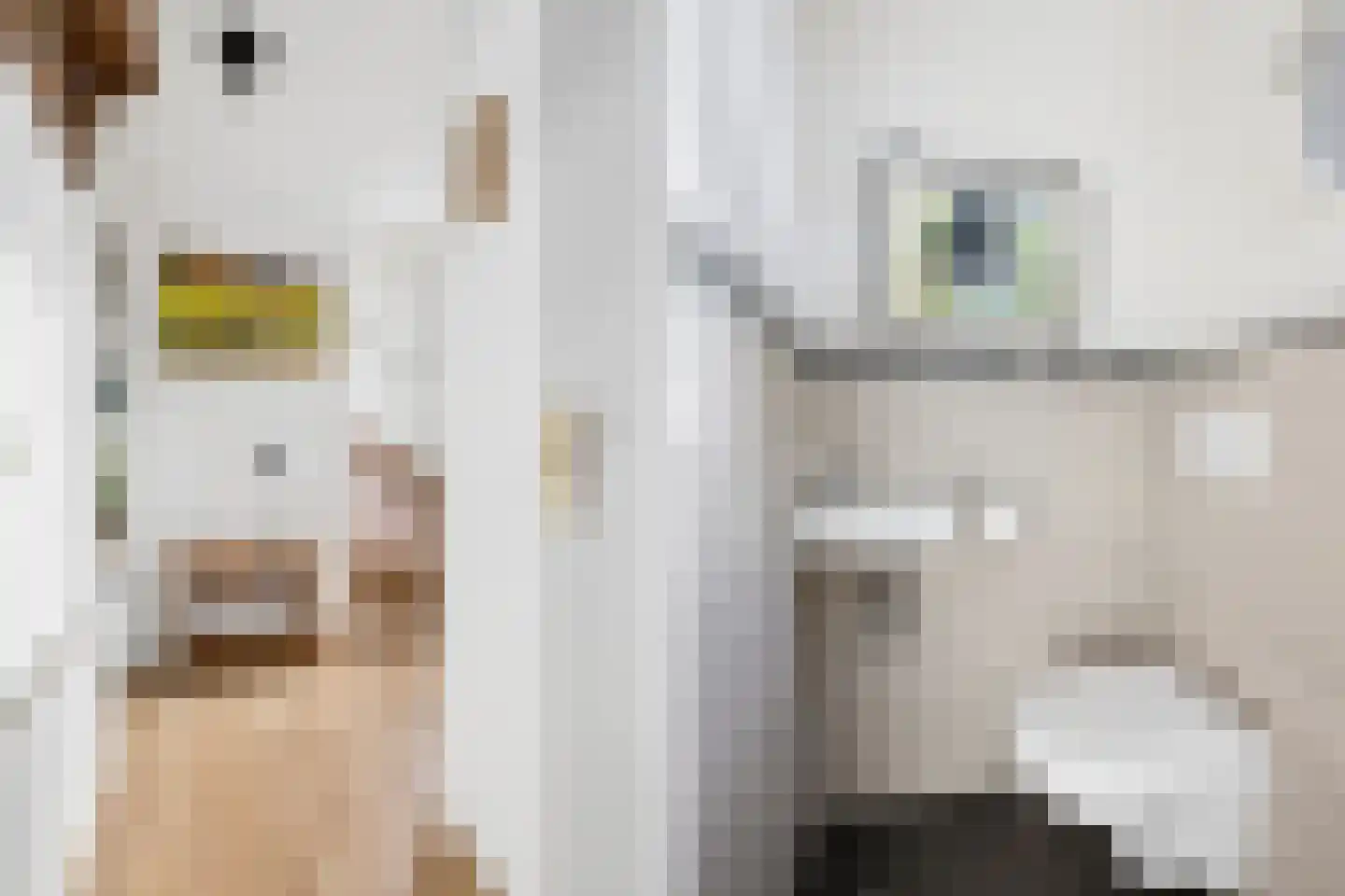 Hindelaan 97 Lunteren thumbnail 14