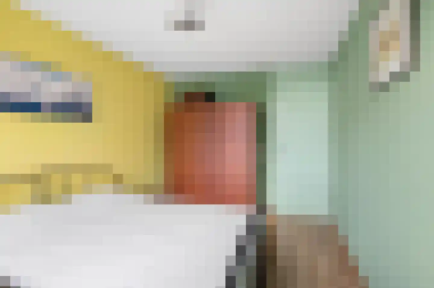 Hindelaan 97 Lunteren thumbnail 20