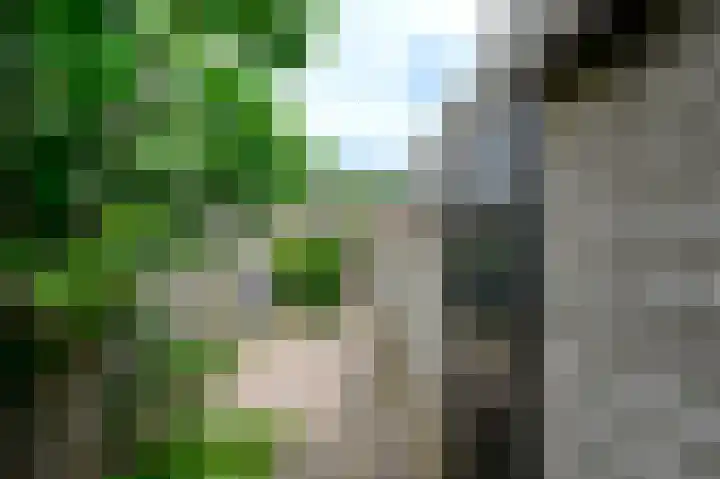 Hindeloopenkade 138 Amersfoort thumbnail 13