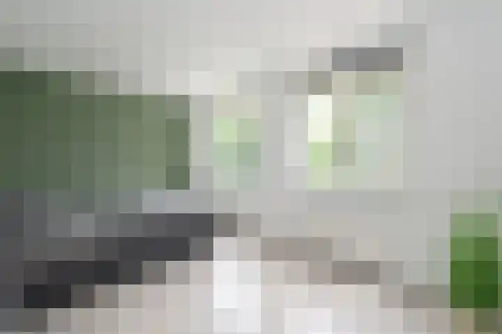 Hindeloopenkade 138 Amersfoort thumbnail 16