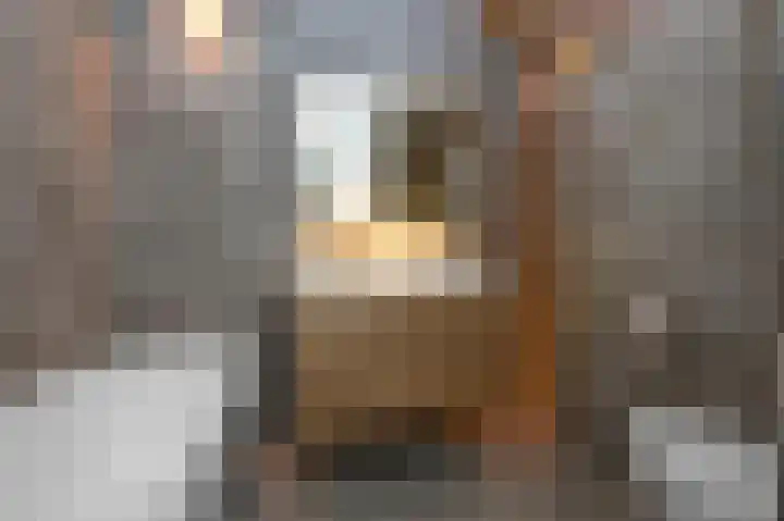 Hindeloopenkade 138 Amersfoort thumbnail 19