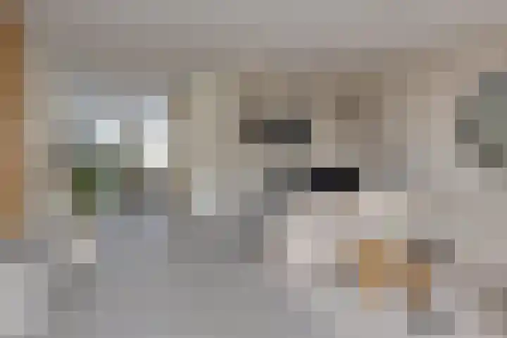 Hindeloopenkade 92 Amersfoort thumbnail 11