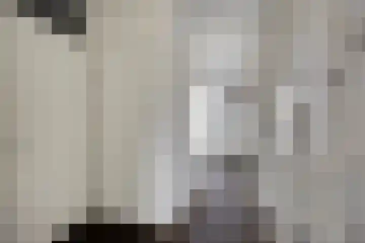 Hindeloopenkade 92 Amersfoort thumbnail 20