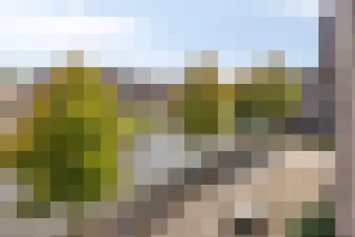 Hindeloopenkade 92 Amersfoort thumbnail 34