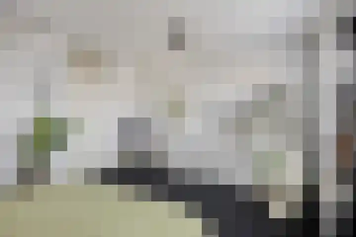 Hindeloopenkade 92 Amersfoort thumbnail 35