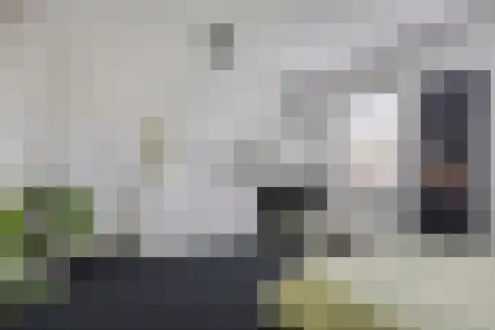 Hindeloopenkade 92 Amersfoort thumbnail 37