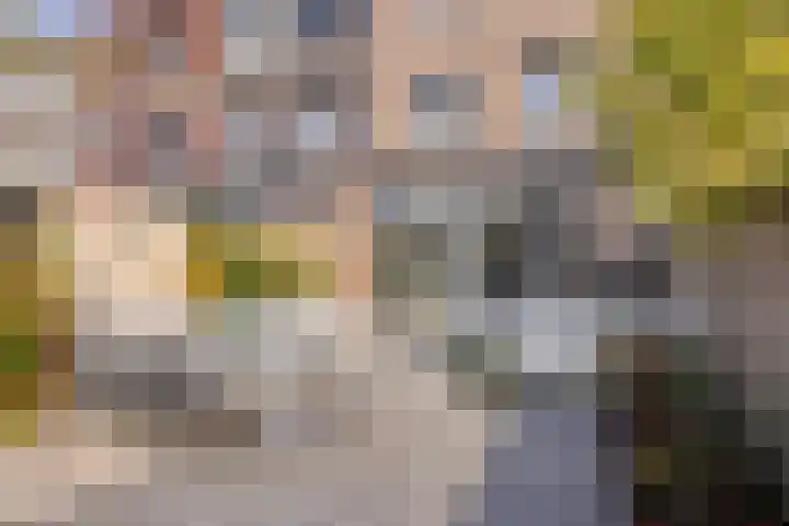 Hindeloopenkade 92 Amersfoort thumbnail 38