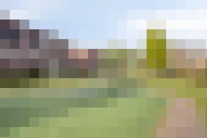 Hindeloopenkade 92 Amersfoort thumbnail 43