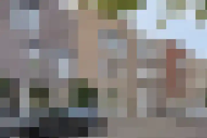 Hindeloopenkade 92 Amersfoort thumbnail 6