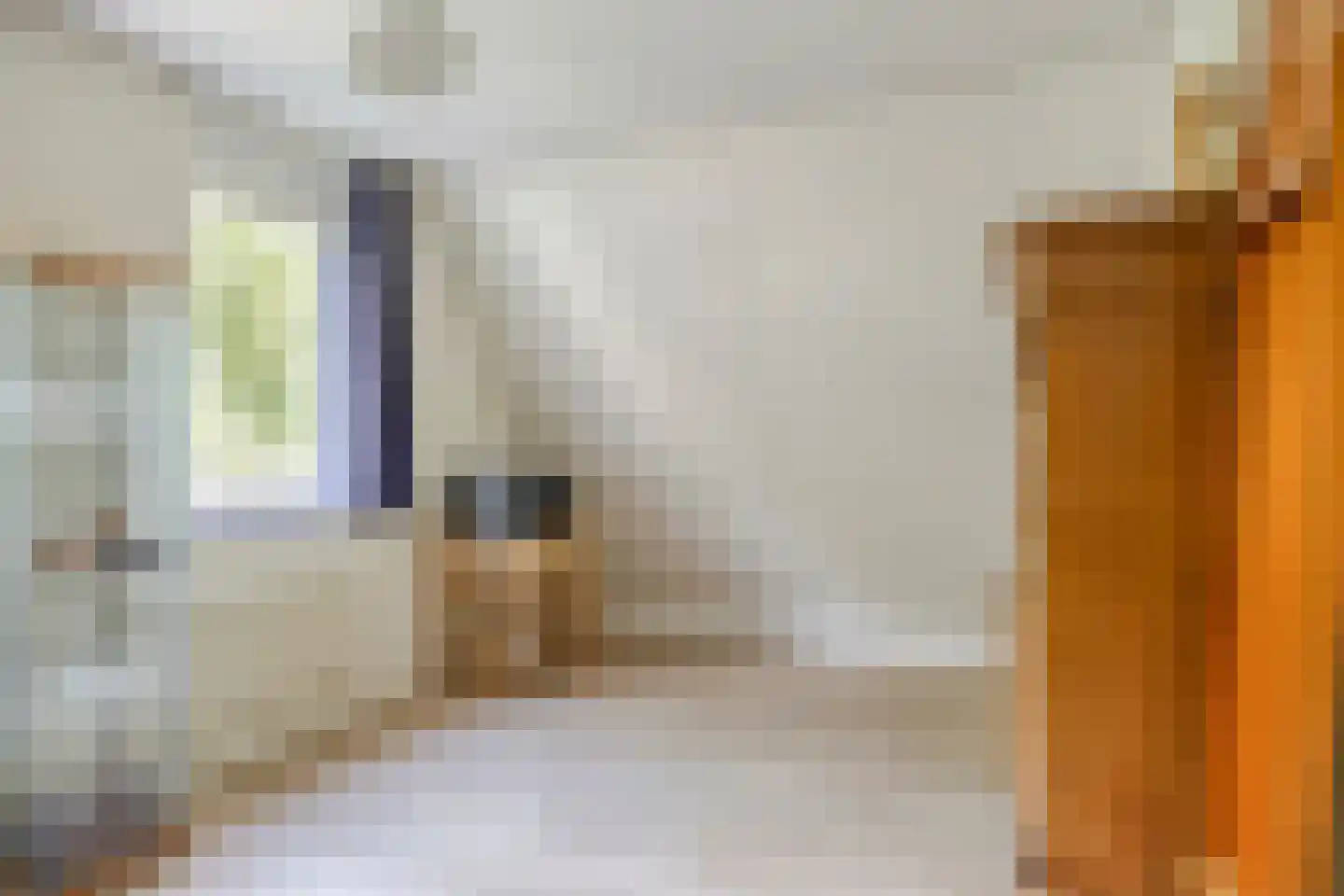 Hindeloopenstraat 5 Tilburg thumbnail 19