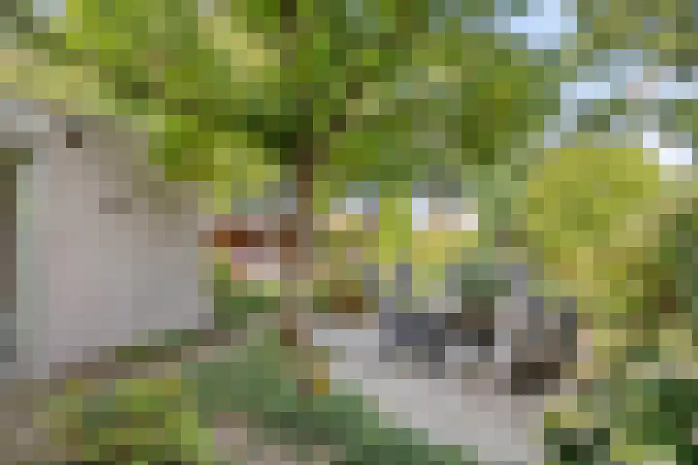 Hindeloopenstraat 5 Tilburg thumbnail 31