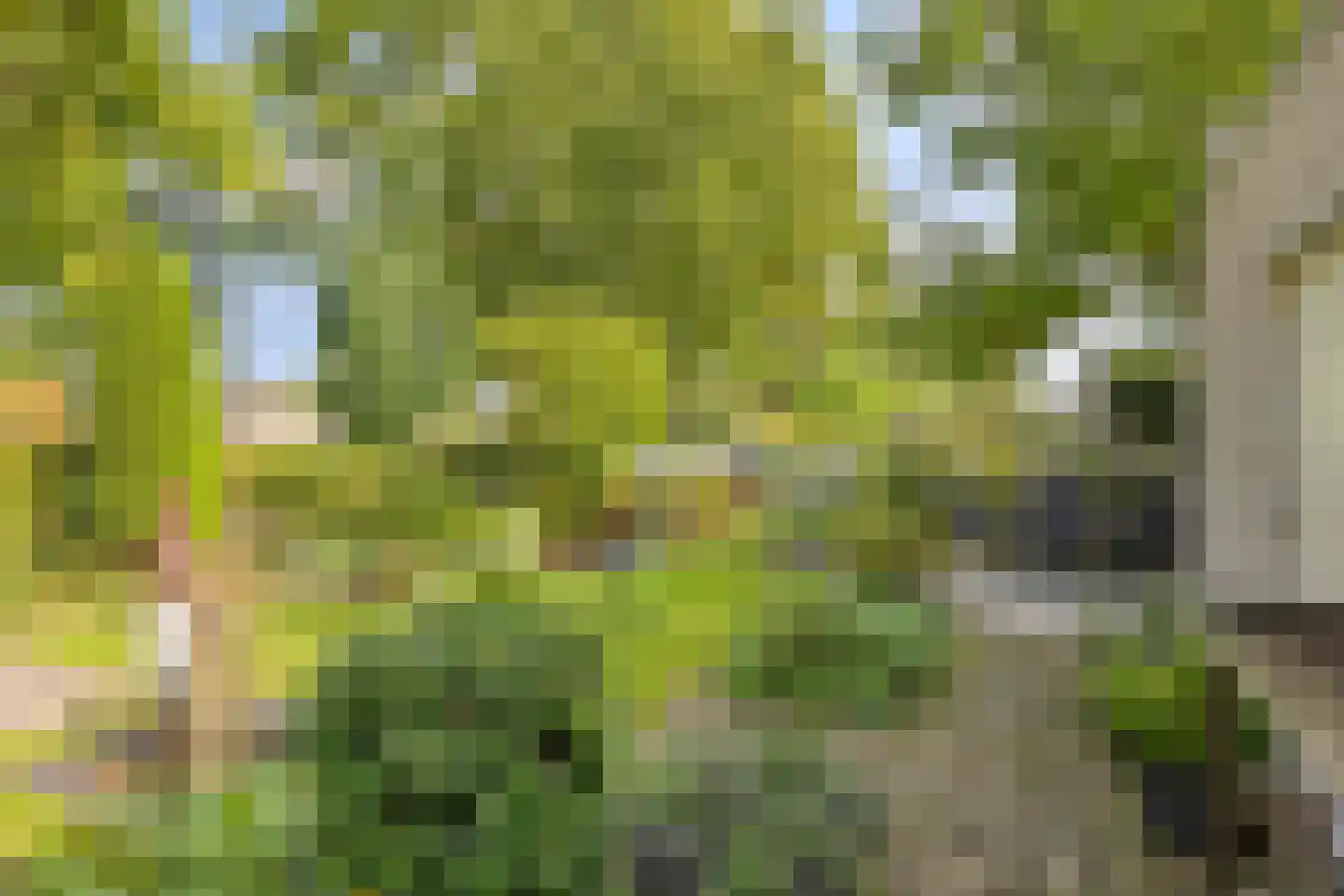 Hindeloopenstraat 5 Tilburg thumbnail 33
