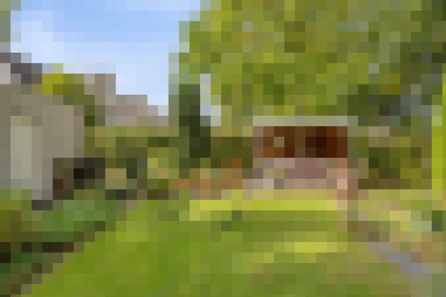 Hindeloopenstraat 5 Tilburg thumbnail 34