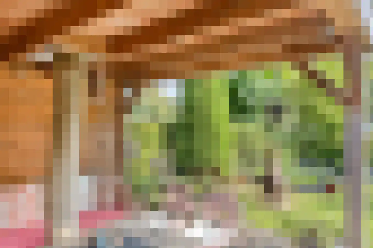 Hindeloopenstraat 5 Tilburg thumbnail 37