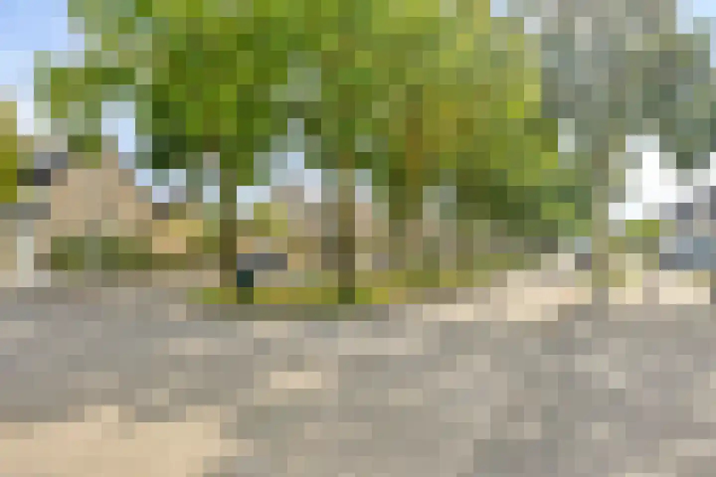 Hindeloopenstraat 5 Tilburg thumbnail 41