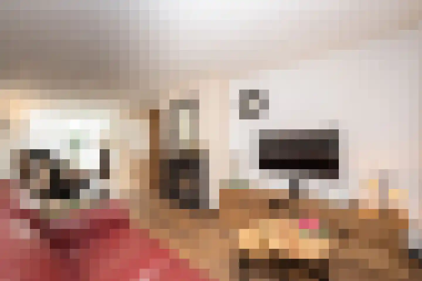 Hindeloopenstraat 50 Tilburg thumbnail 12