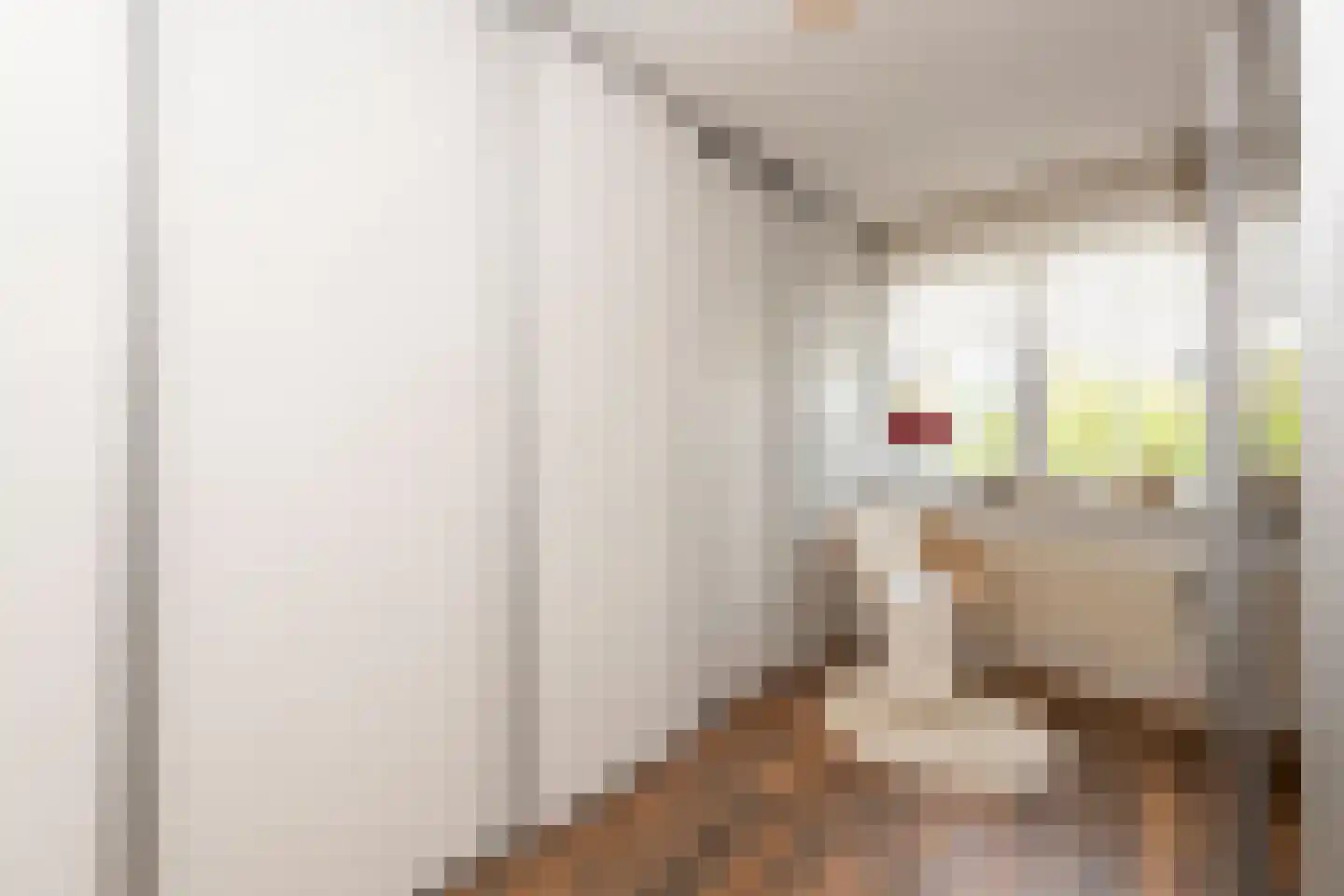 Hindeloopenstraat 50 Tilburg thumbnail 19
