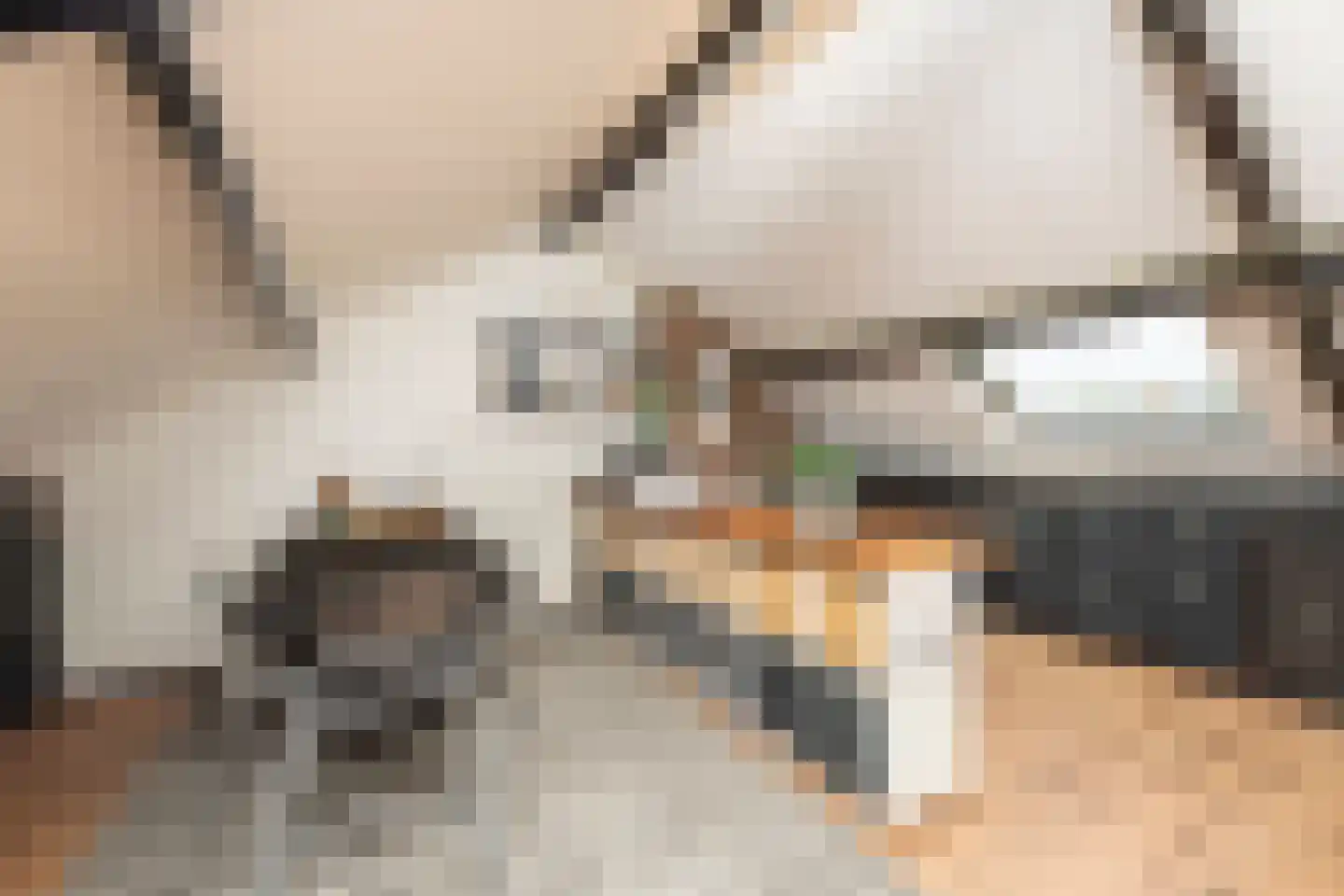 Hindeloopenstraat 50 Tilburg thumbnail 25