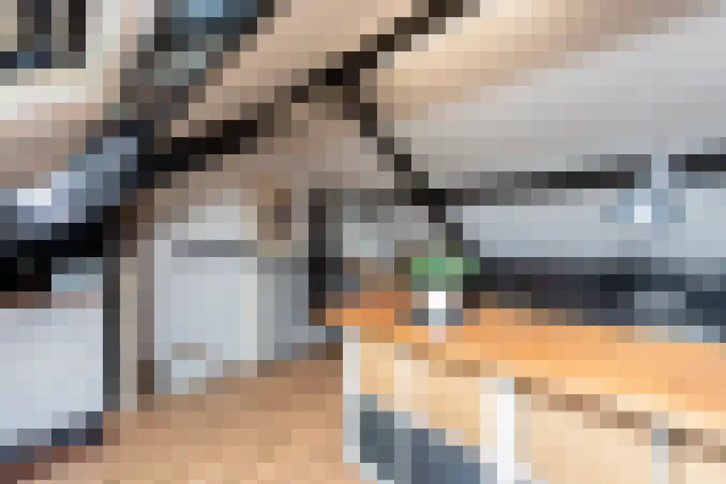 Hindeloopenstraat 50 Tilburg thumbnail 26