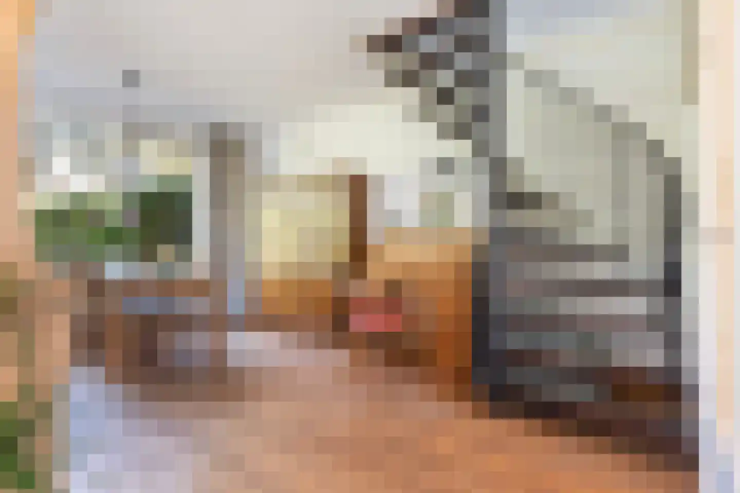 Hindenhoek 20 Vaassen thumbnail 10