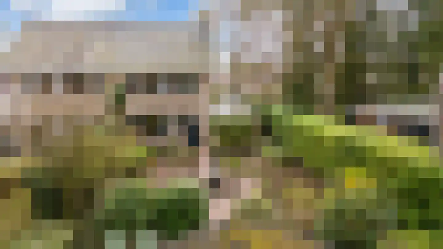 Hindenhoek 20 Vaassen thumbnail 28