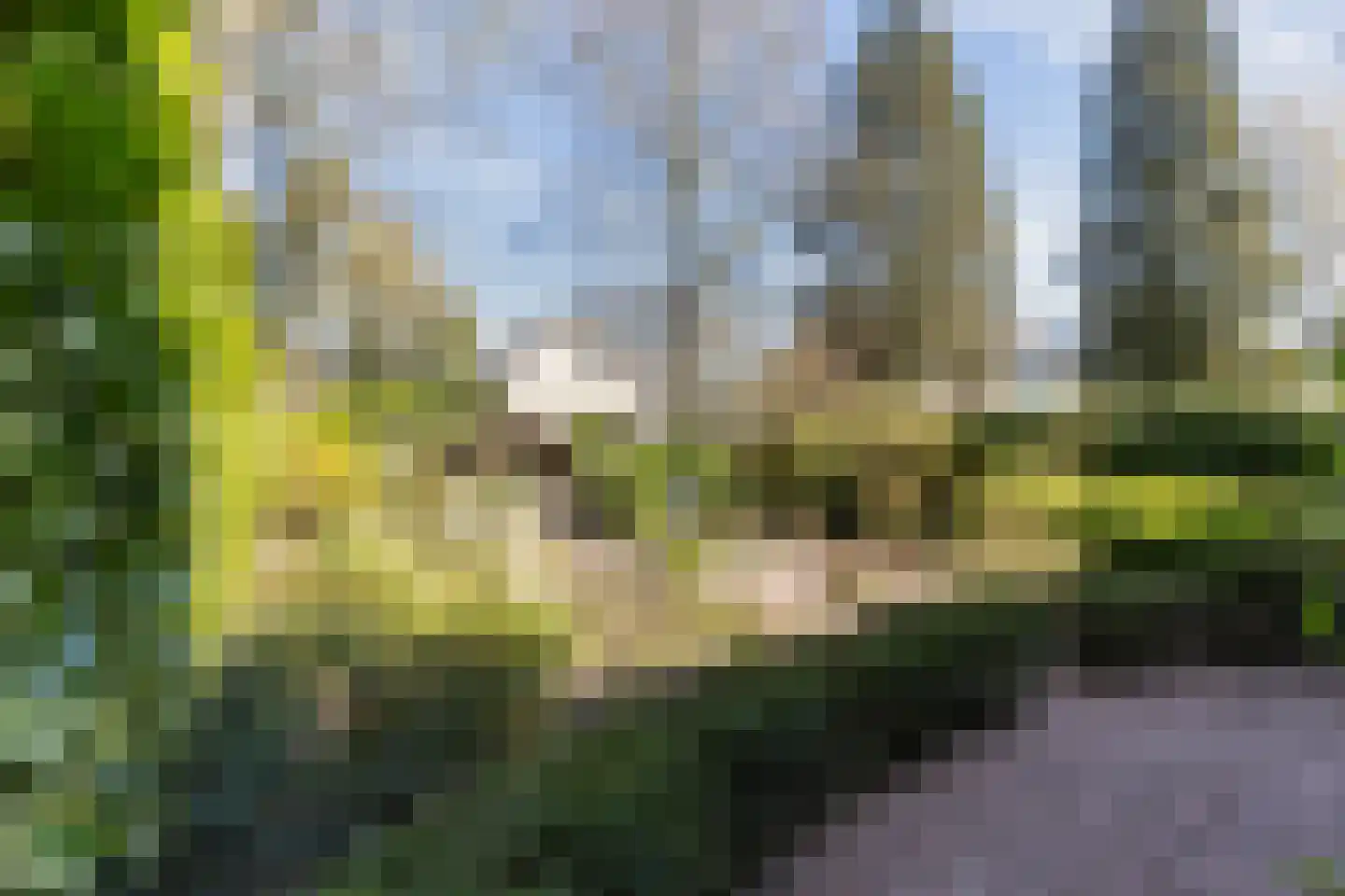 Hindenhoek 20 Vaassen thumbnail 31