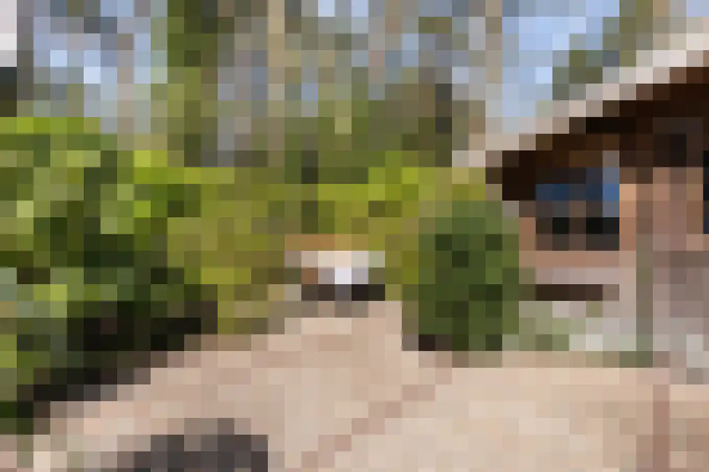 Hindenhoek 20 Vaassen thumbnail 33