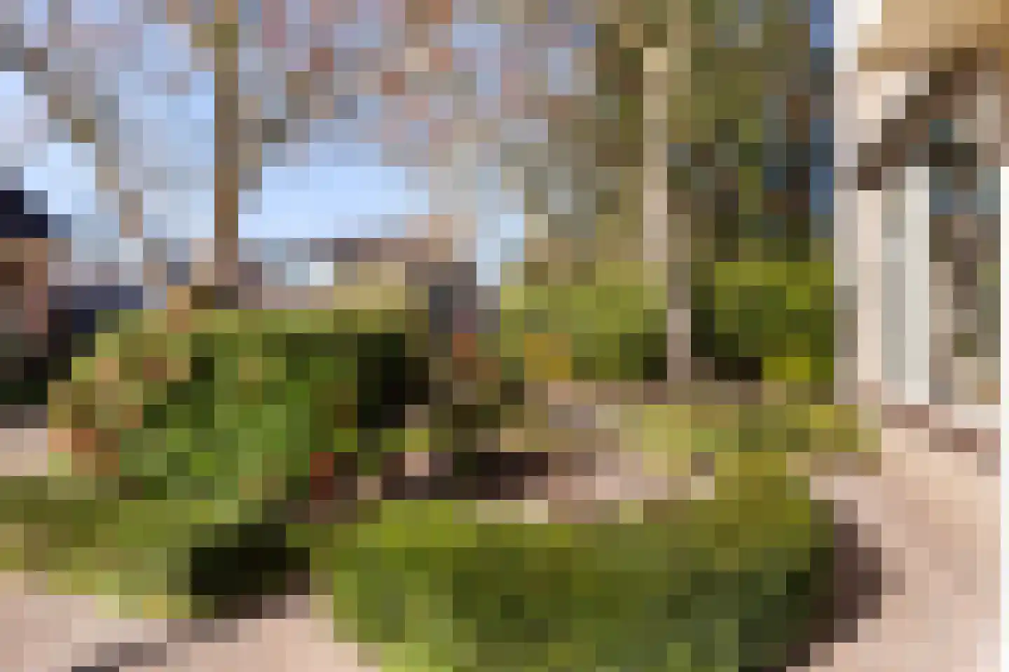Hindenhoek 20 Vaassen thumbnail 35