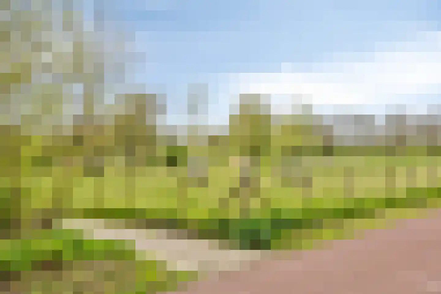 Hindenweide 2 Zoetermeer thumbnail 25