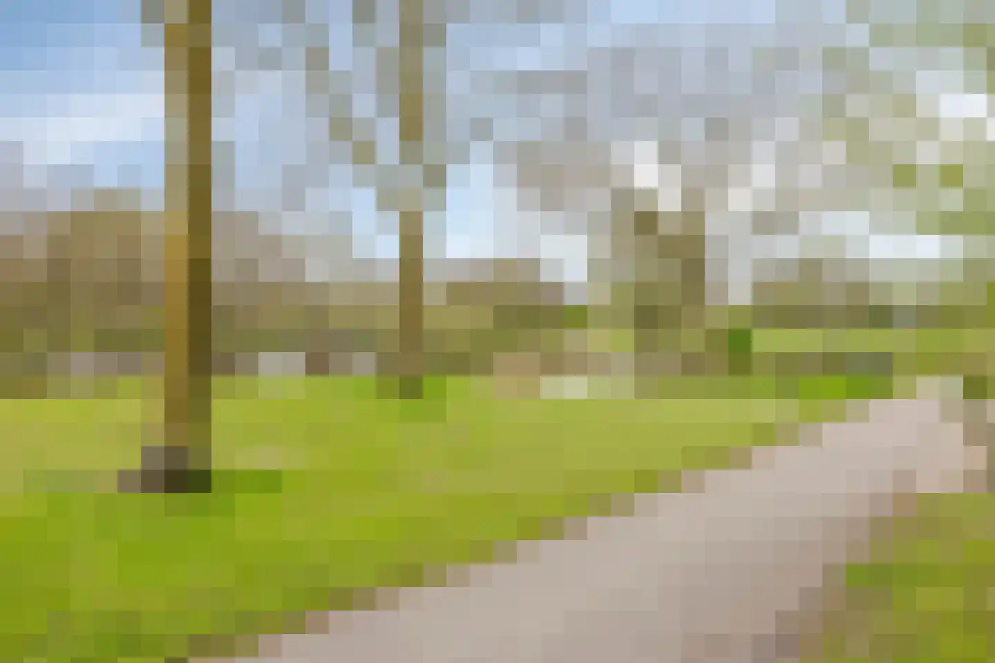 Hindenweide 2 Zoetermeer thumbnail 26