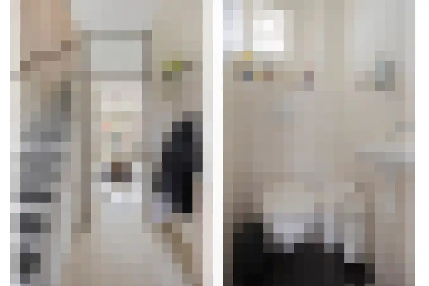 Hindenweide 2 Zoetermeer thumbnail 5