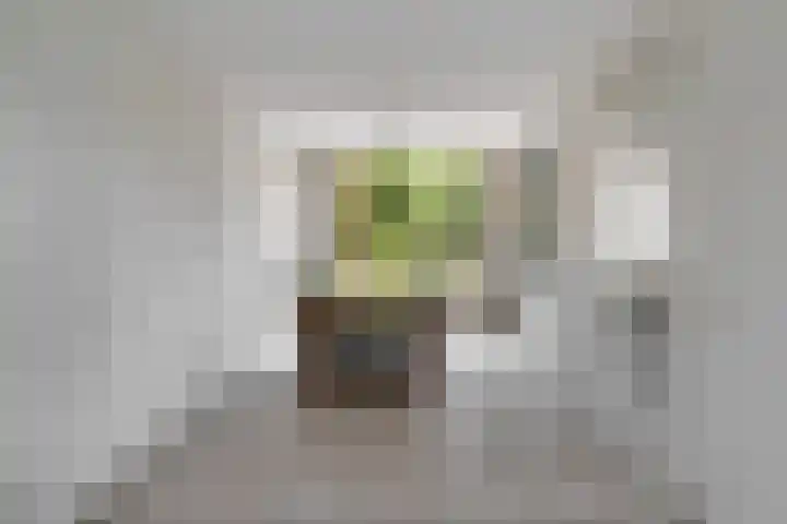 Hindenweide 39 Zoetermeer thumbnail 15