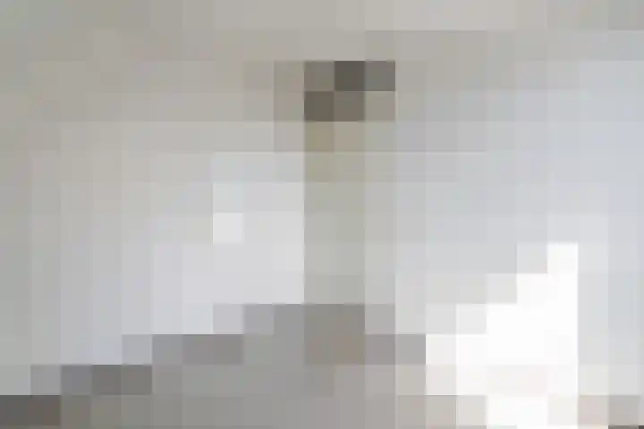 Hindenweide 39 Zoetermeer thumbnail 30