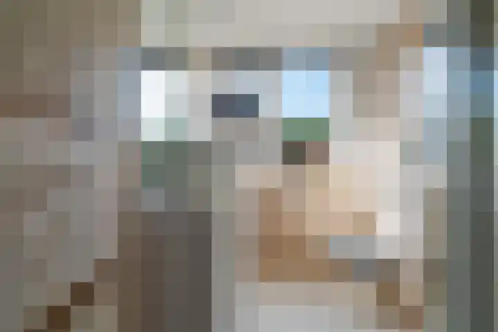Hindenweide 39 Zoetermeer thumbnail 31