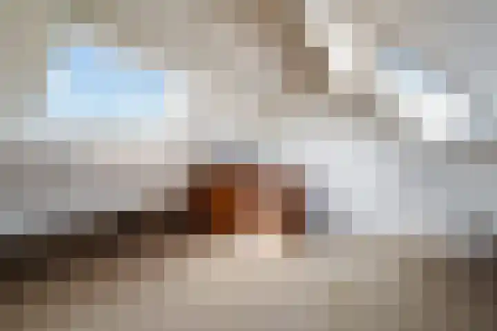 Hindenweide 39 Zoetermeer thumbnail 35