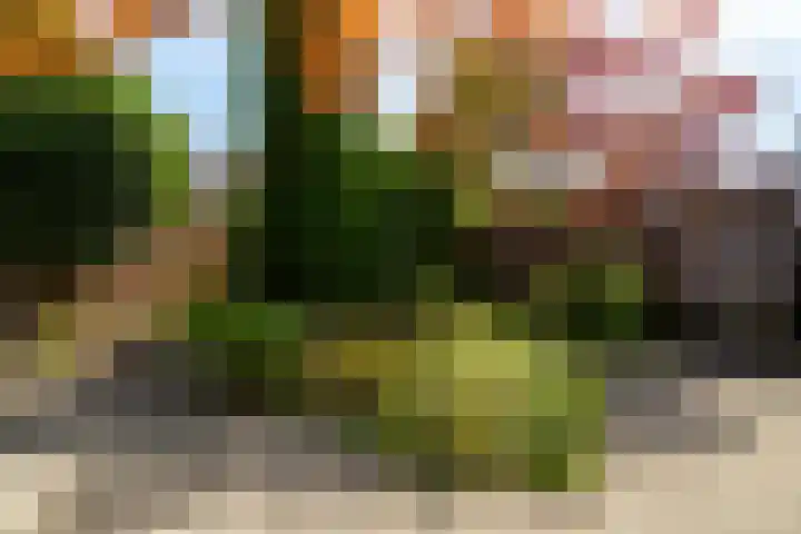 Hindenweide 39 Zoetermeer thumbnail 39