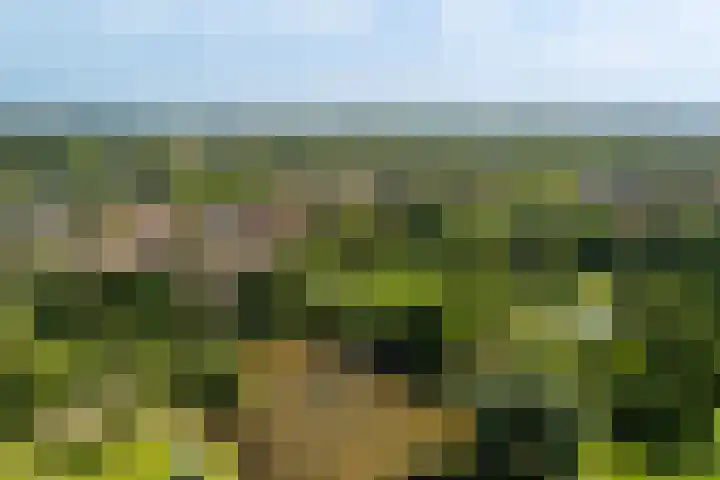 Hindenweide 39 Zoetermeer thumbnail 4
