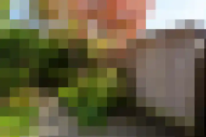Hindenweide 39 Zoetermeer thumbnail 40