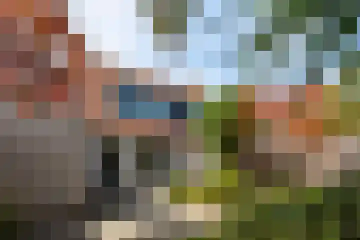 Hindenweide 39 Zoetermeer thumbnail 41